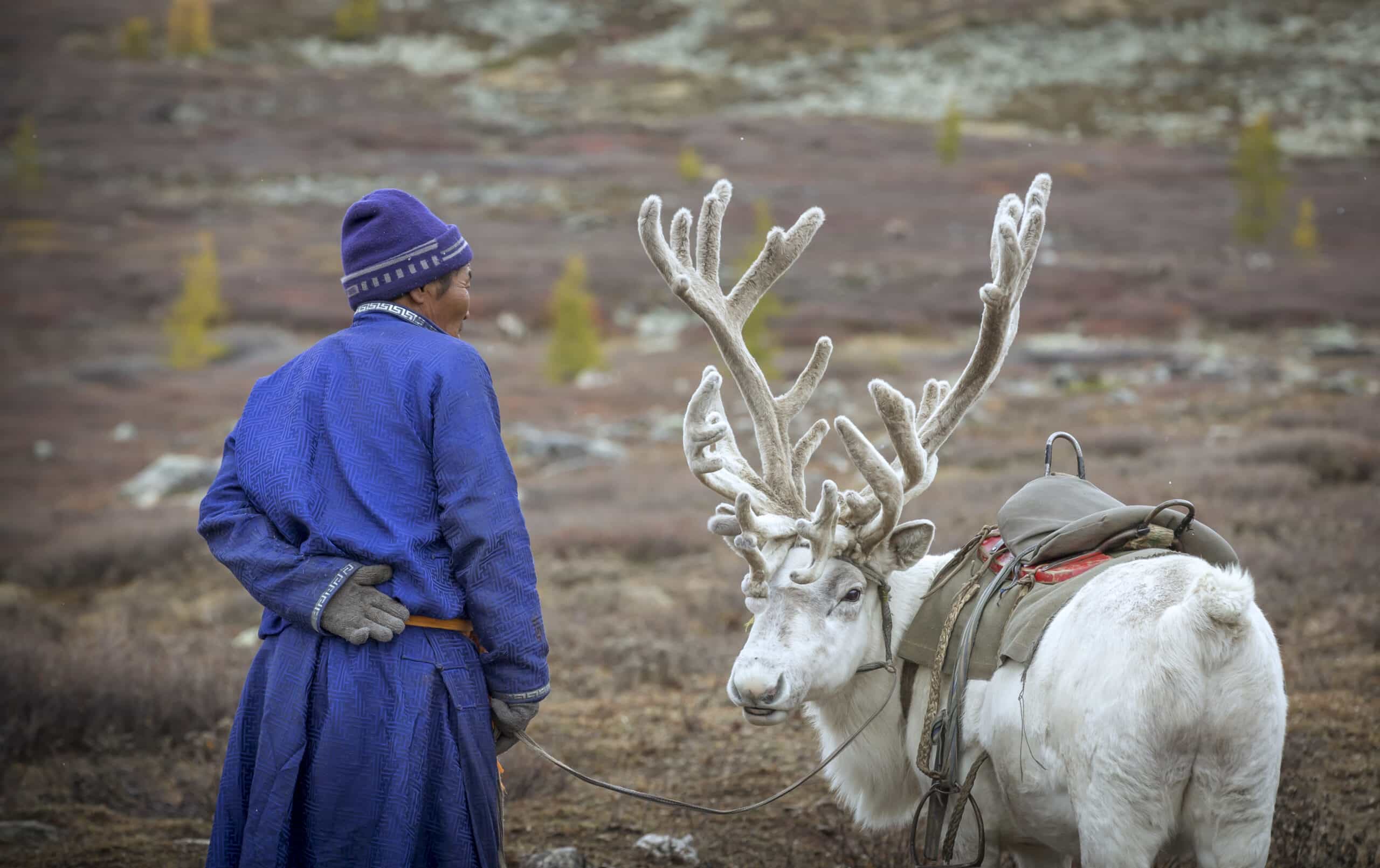 Khuvsgul Reindeer Mongolia