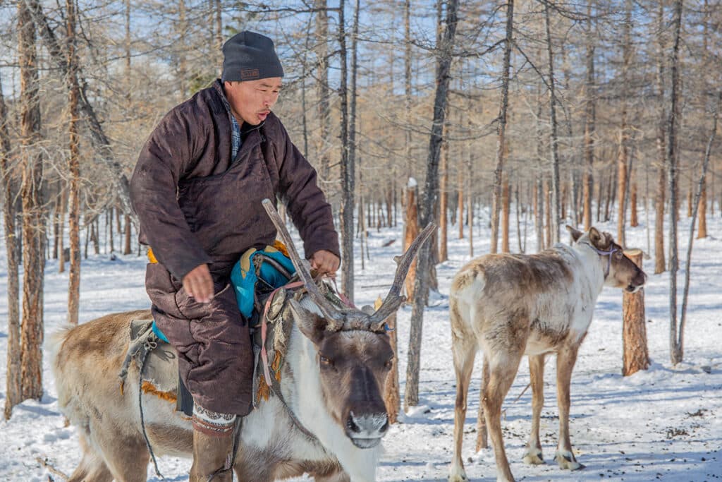 Reindeer Riders Ultimate Mongolian Food Guide (+ Tips for Vegetarians) - Meanwhile in ...