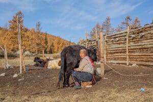 Mongolia Tour September