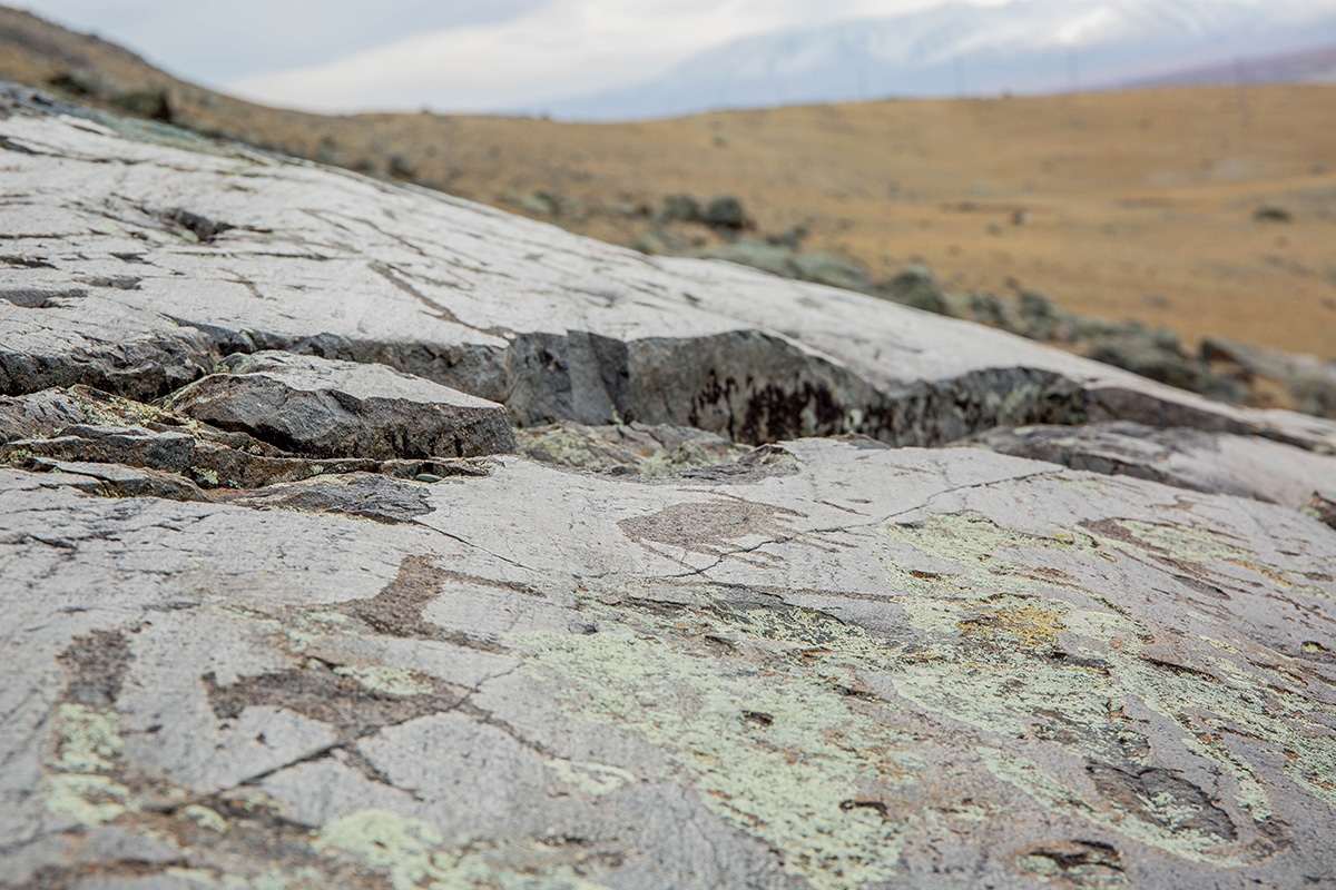 Petroglyphs Mongolia