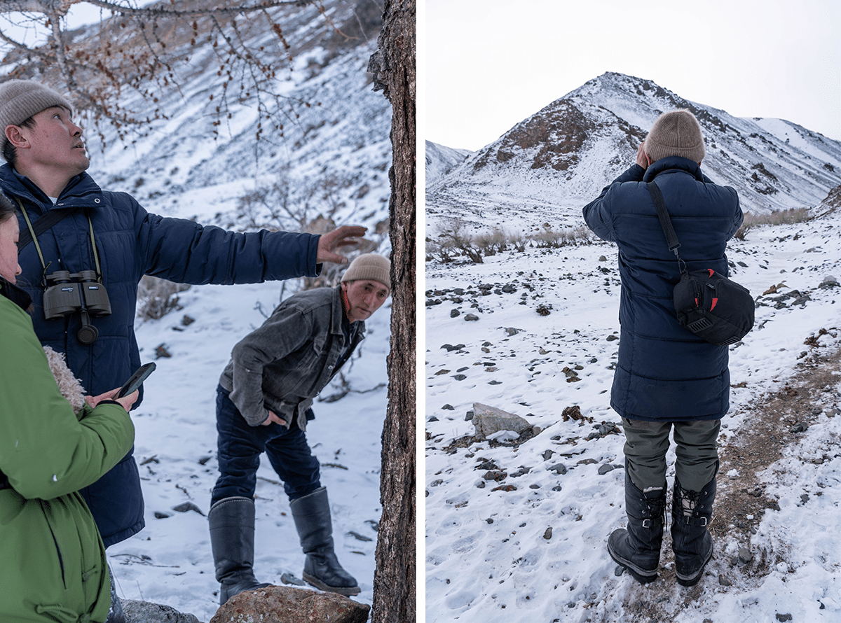 Snow Leopard Tour Mongolia