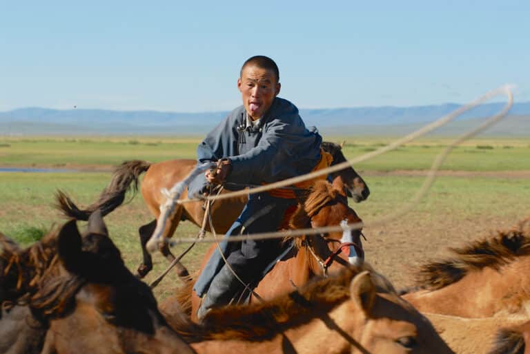 Best Mongolia Tours Local Company