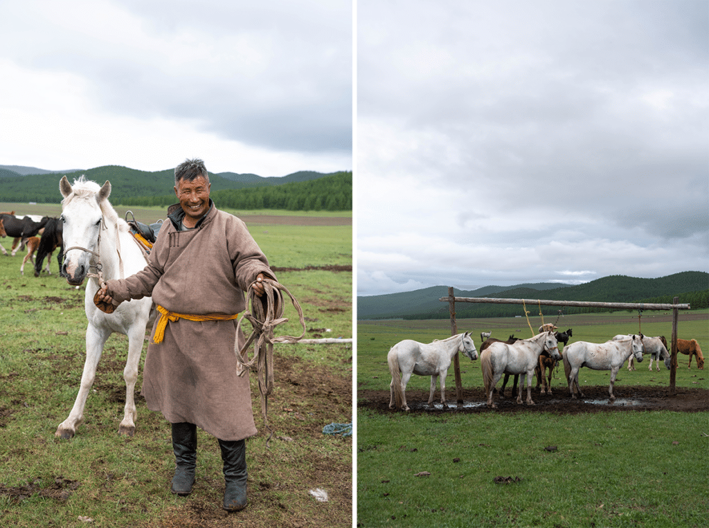 8-day Nomadic Family Homestay Tour - Meanwhile in Mongolia
