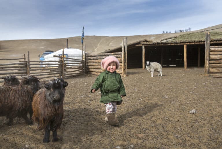 Gobi Desert Group Tour
