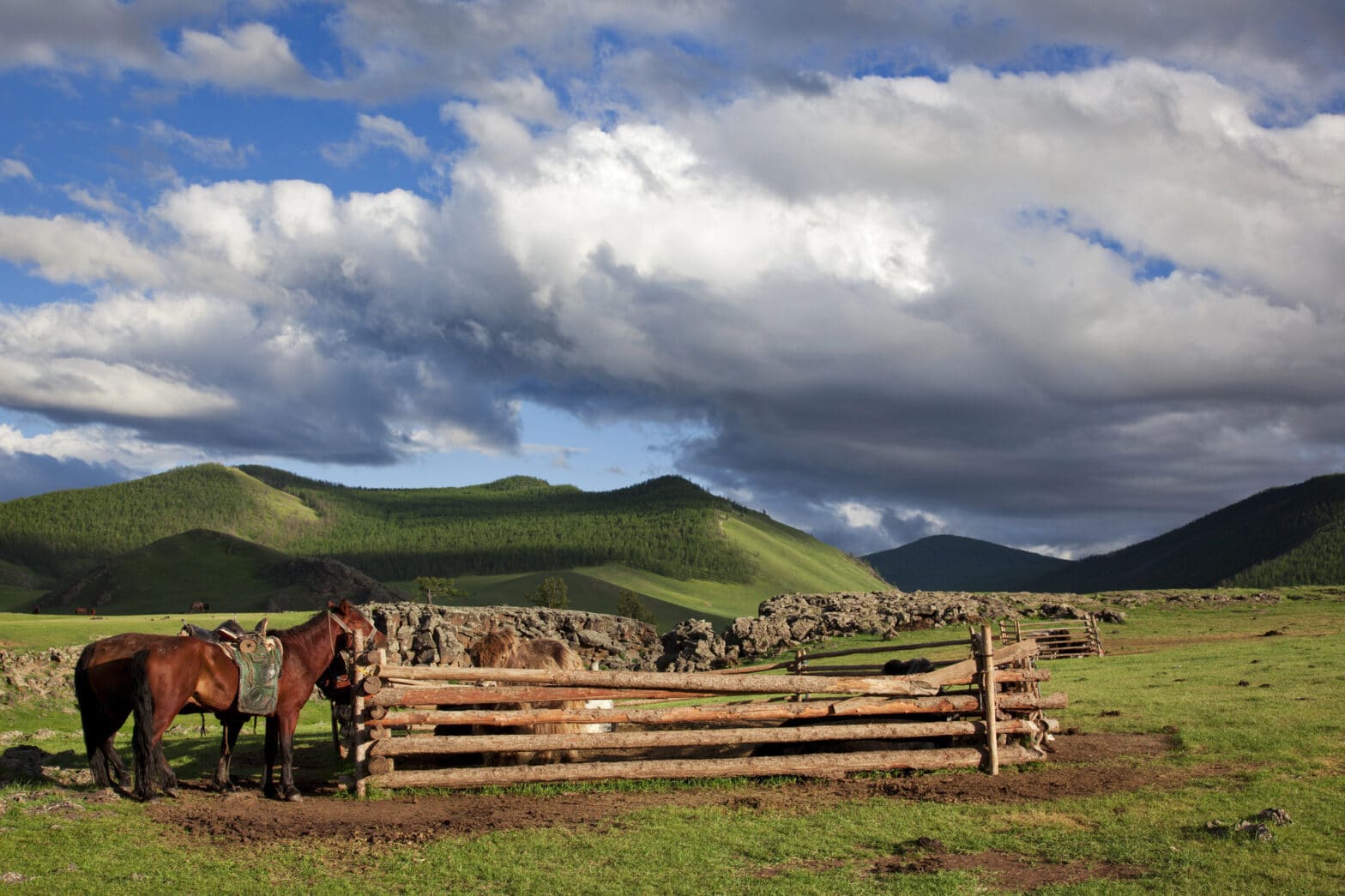 Mongolian Horses Riding Tour