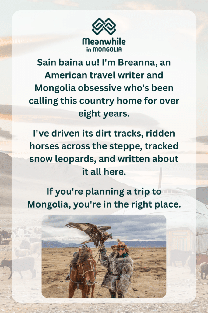 Meanwhile in Mongolia Blog Breanna Wilson Writer