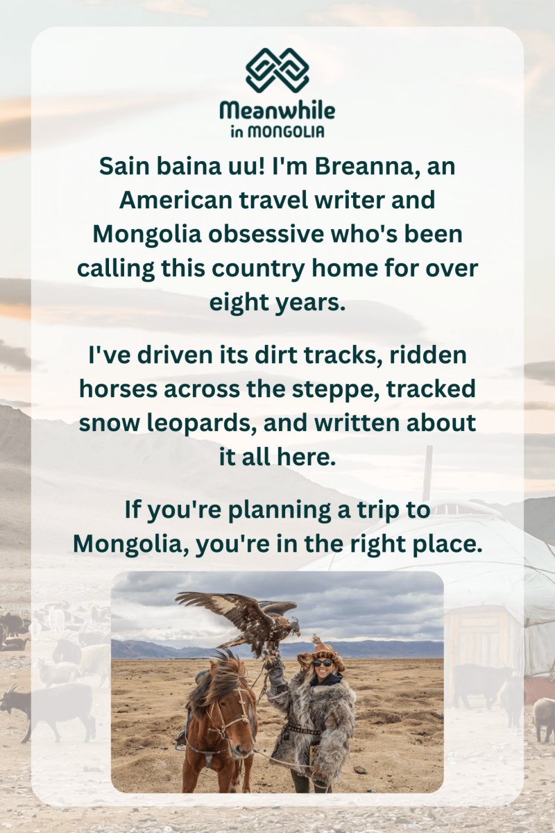 Meanwhile in Mongolia Blog Breanna Wilson Writer