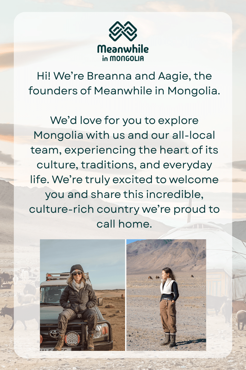 Meanwhile in Mongolia Tour Company